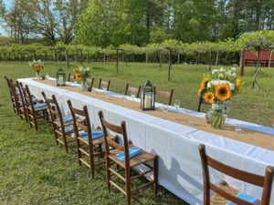 A long picnic table set with table clothes and flowers in a vineyard