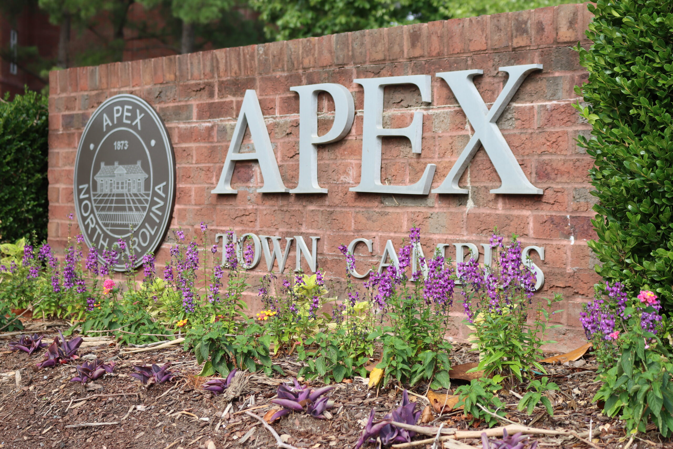 Apex town campus sign