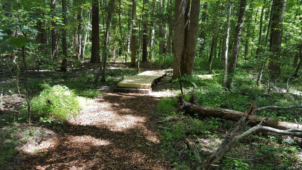 apex nature trail in the woods