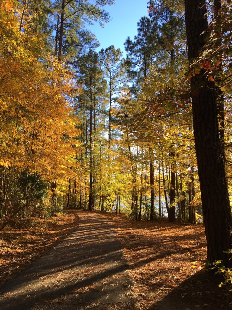 Apex Community Park