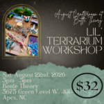 August Crafternoon at Bottle Theory: Lil’ Terrarium Workshop with Bear Hands