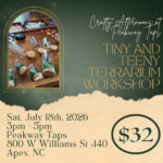 Crafty Afternoons at Peakway Taps: Tiny and Teeny Terrarium Workshop with Bear Hands