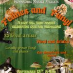 Felines and Fungi Night Market at The Backyard Bar