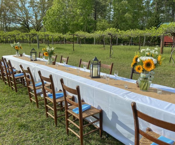 A long picnic table set with table clothes and flowers in a vineyard