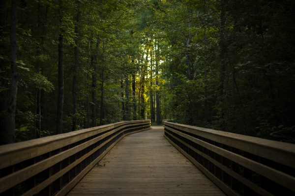 wooden bridge on a greenway trail